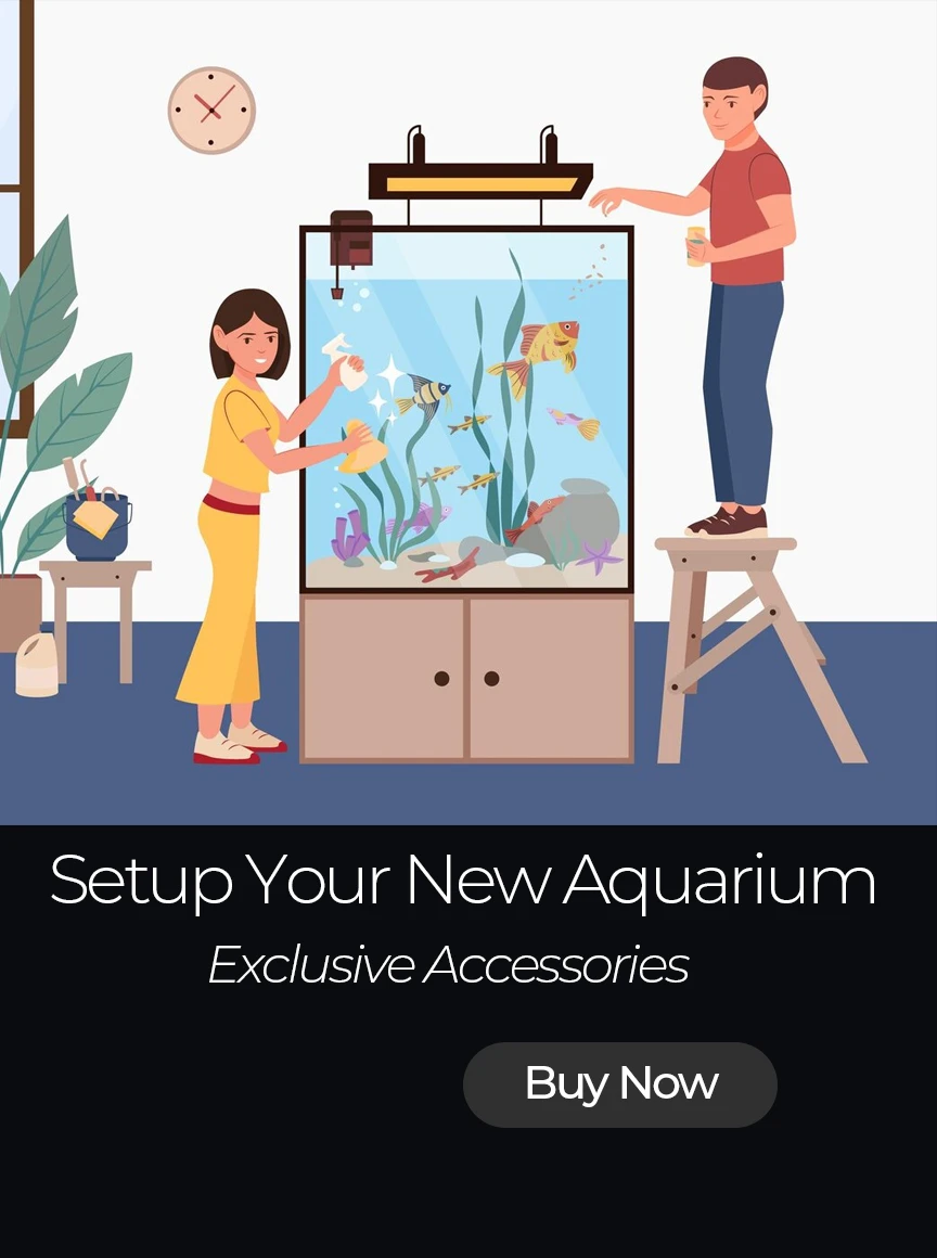 Vedha Fish Farm promo