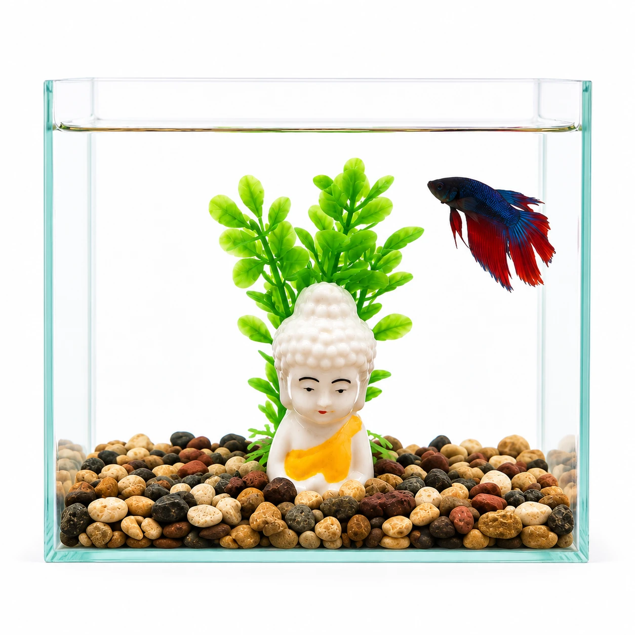 Betta Glass Tank - Combo