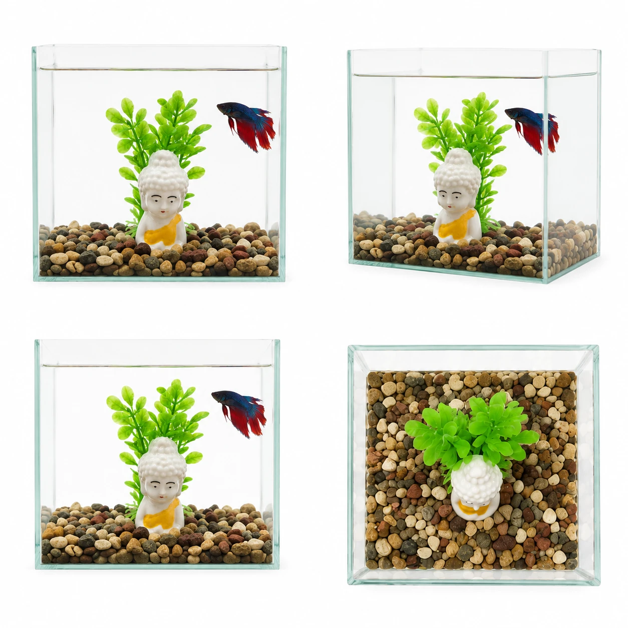 Betta Glass Tank - Combo