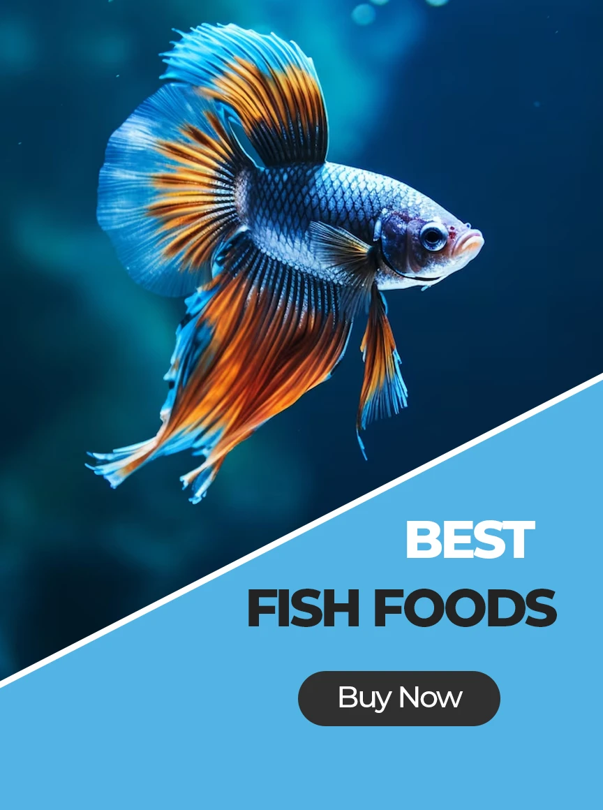 Vedha Fish Farm promo