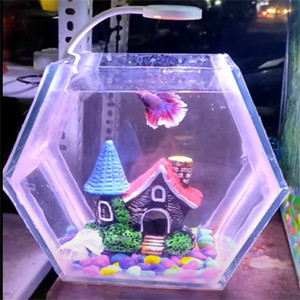 hexagon shape betta fish tank