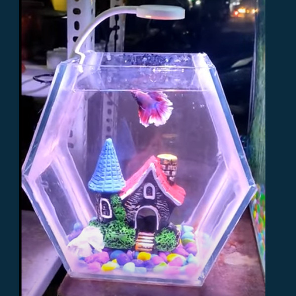 hexagon shape betta fish tank