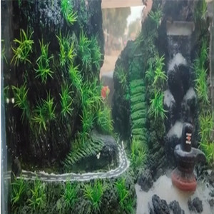 Aquarium hill road and falls design