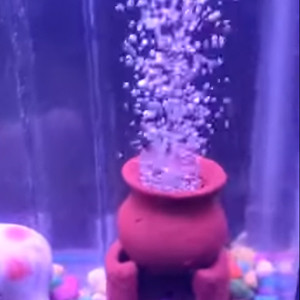 terracotta mini oven and mini pot