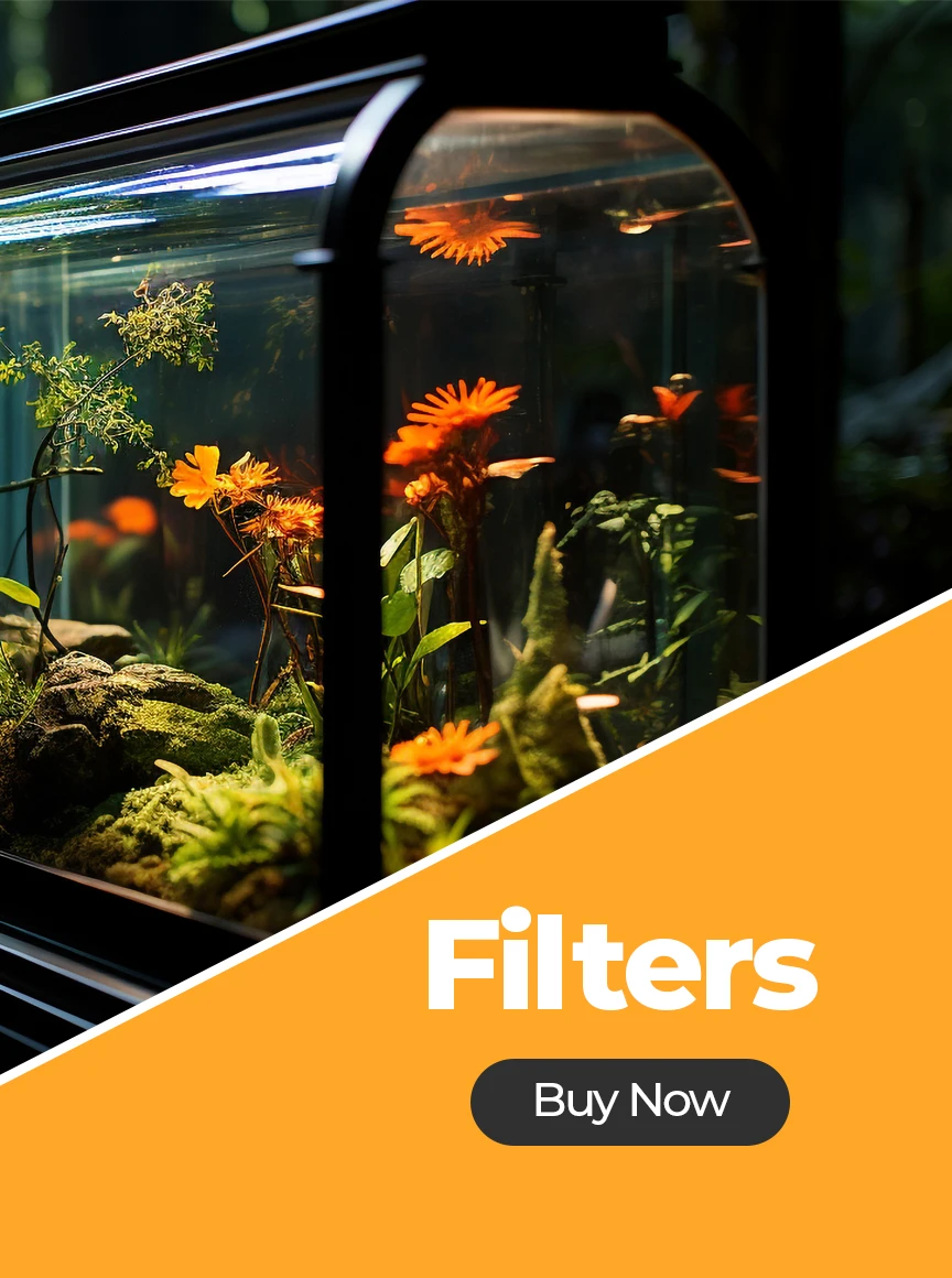 Vedha Fish Farm promo